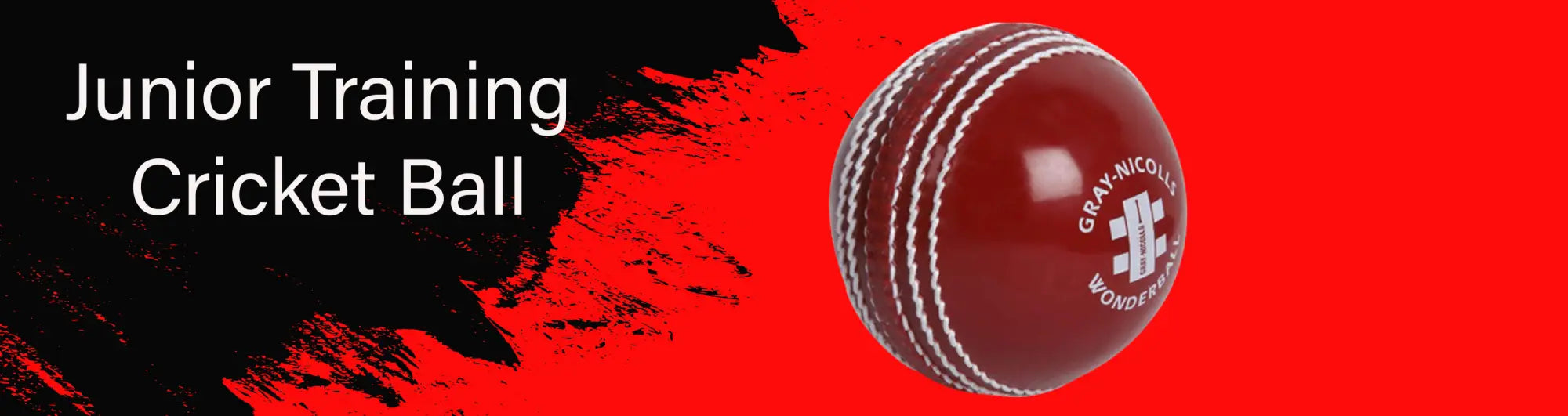 BALL - Junior Training Cricket Ball