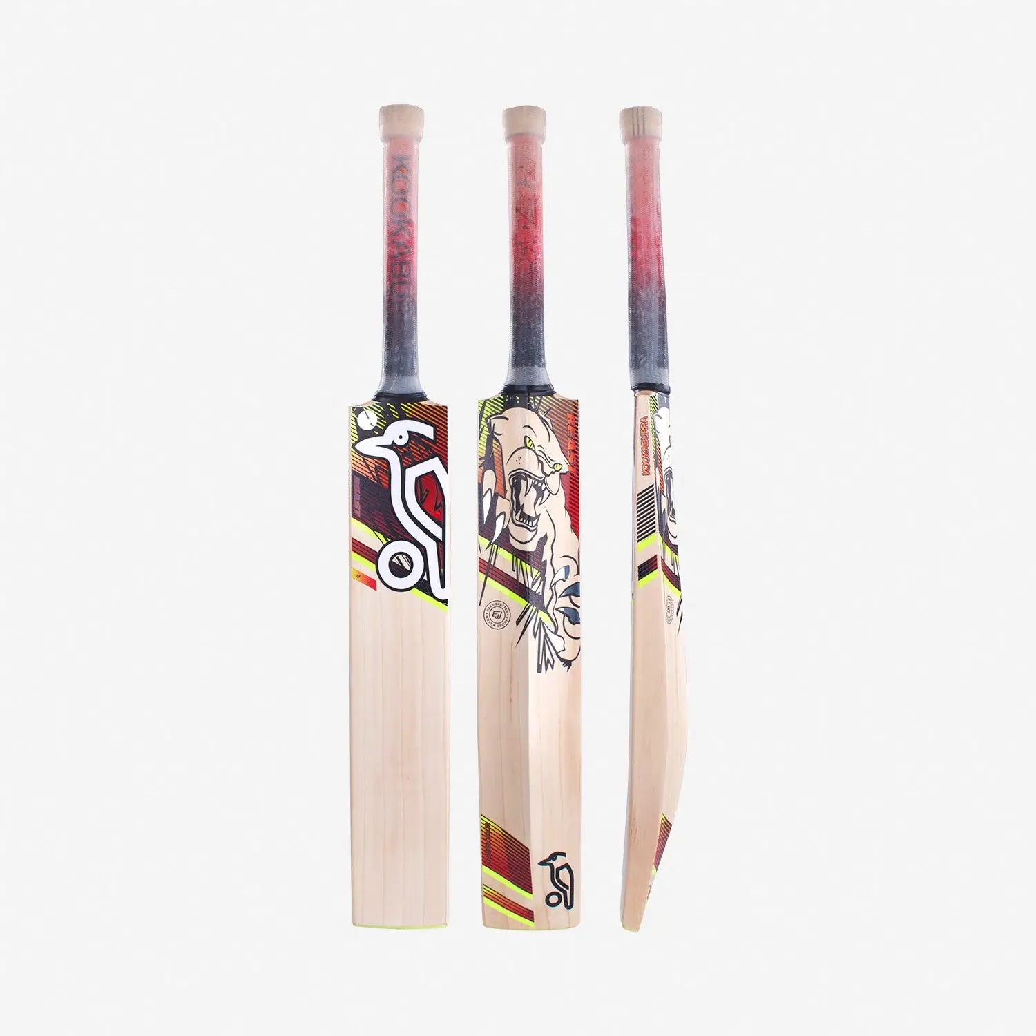 Kookaburra BEAST 3.1 Cricket Bat English Willow - Short Handle (Standard Adult Size Bat) - BATS - MENS ENGLISH WILLOW
