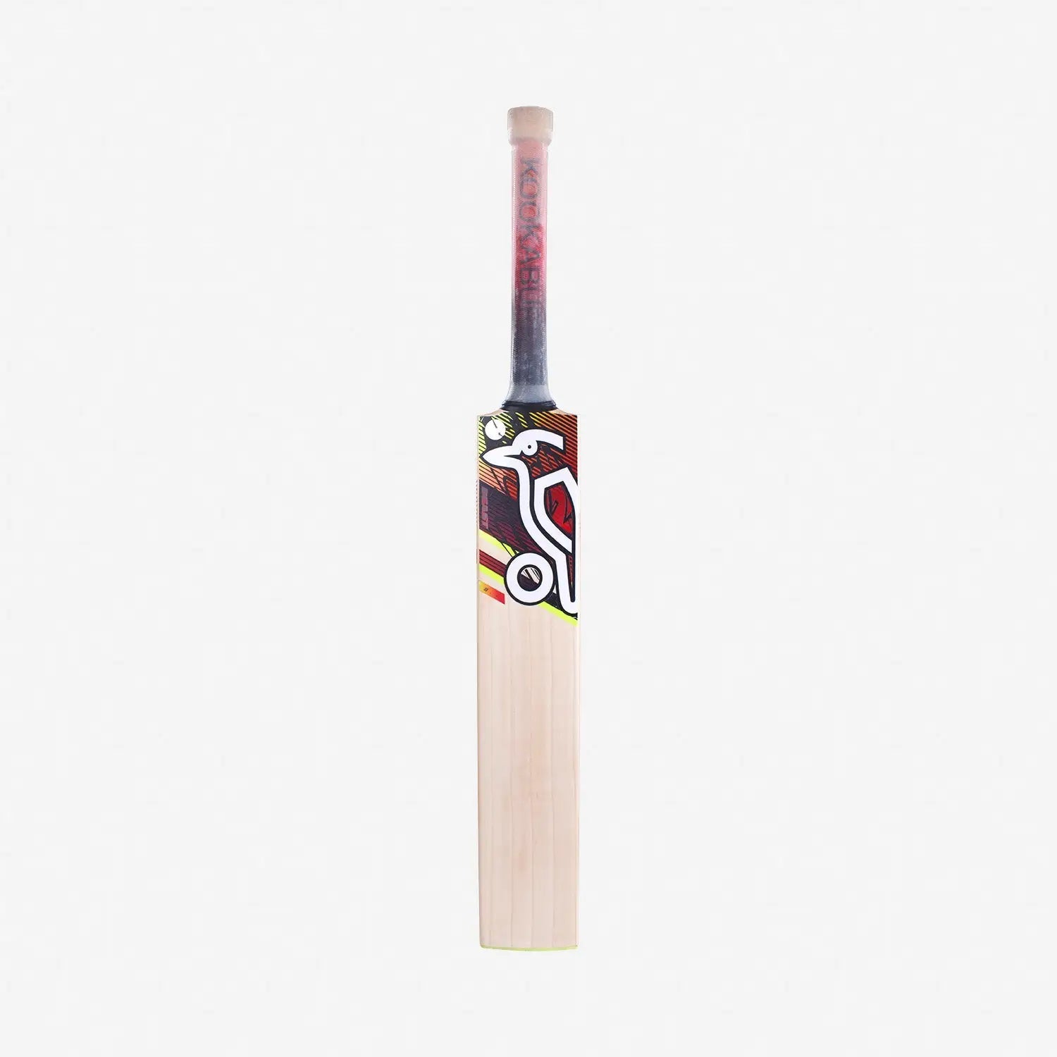Kookaburra BEAST 3.1 Cricket Bat English Willow - Short Handle - BATS - MENS ENGLISH WILLOW