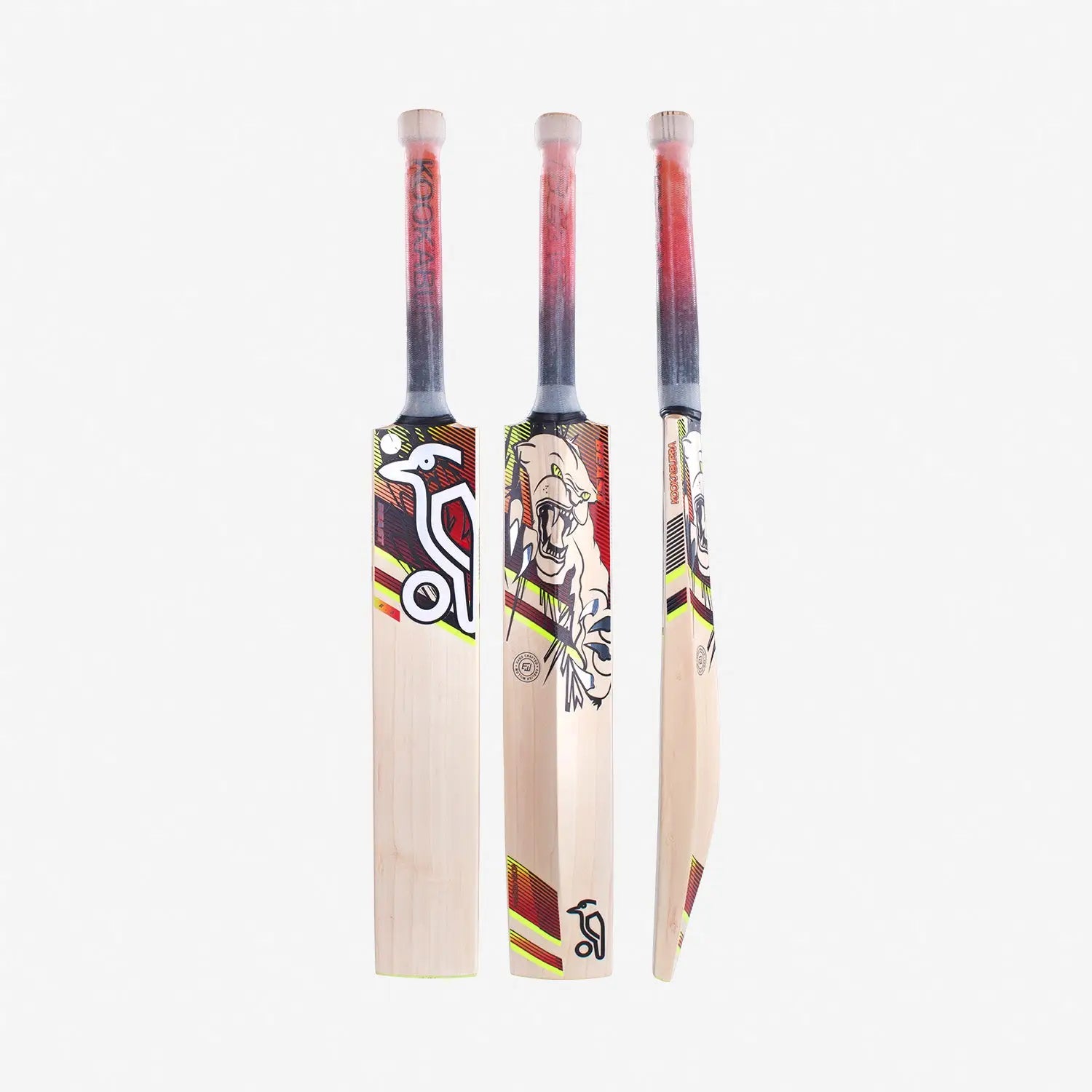 Kookaburra BEAST 6.2 Cricket Bat English Willow - Short Handle (Standard Adult Size Bat) - BATS - MENS ENGLISH WILLOW