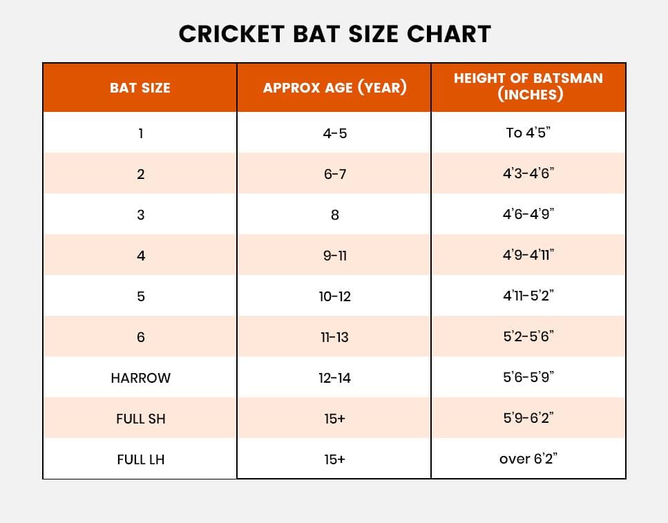 11 Different Cricket Bat Sizes, Which One is Right For You?