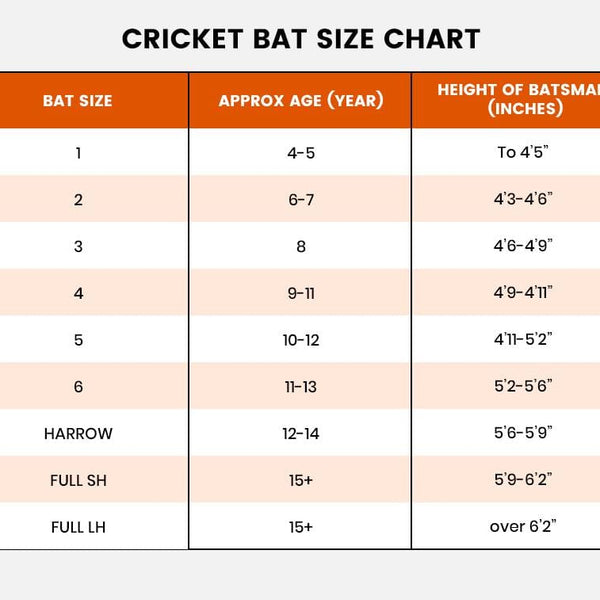 11 Different Cricket Bat Sizes, Which One is Right For You?