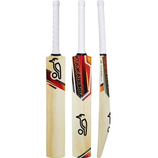 English Willow Cricket Bat in Detail and How to Maintain it