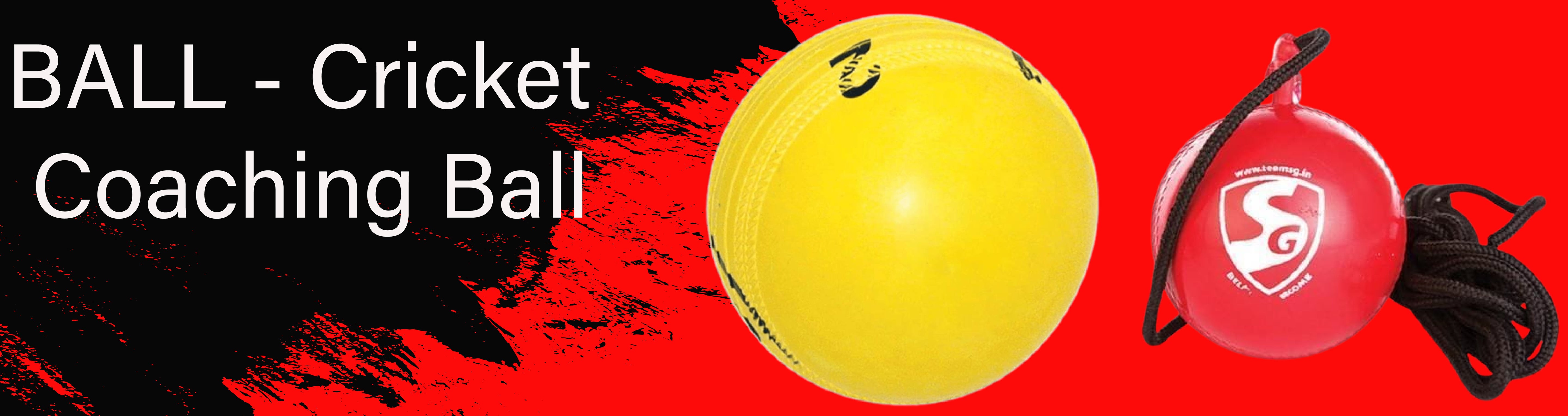 Collection image BALL - Cricket Coaching Ball
