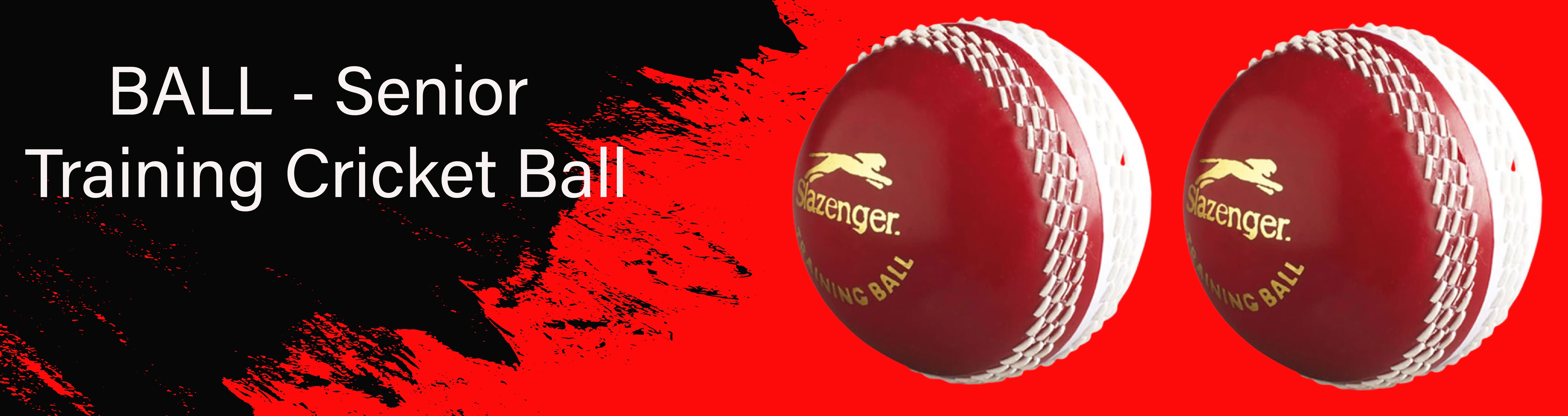 BALL - Senior Training Cricket Ball -