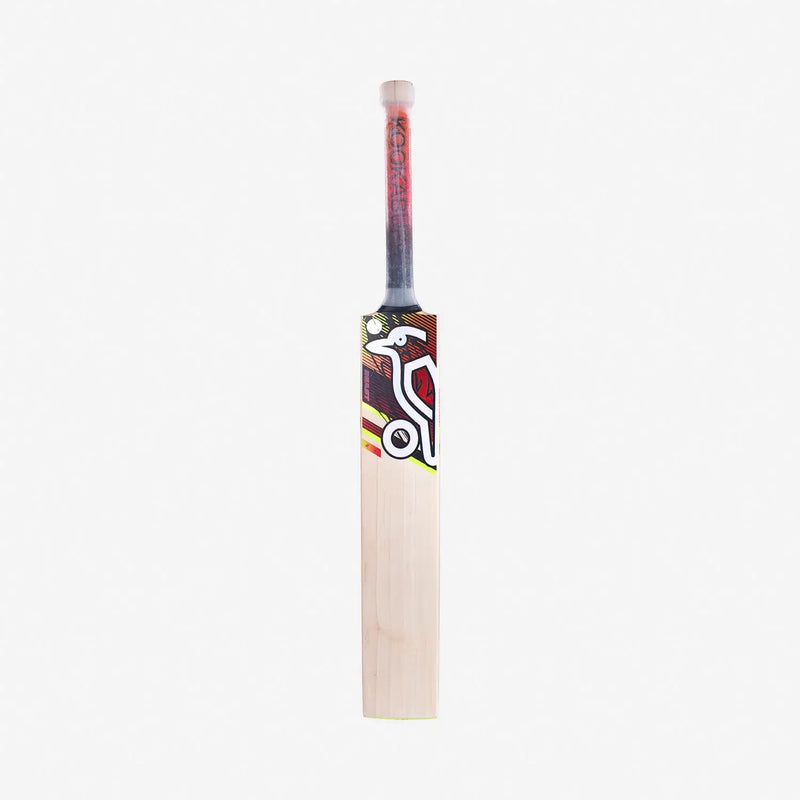 Kookaburra BEAST 6.2 Cricket Bat English Willow - Short Handle (Standard Adult Size Bat) - BATS - MENS ENGLISH WILLOW