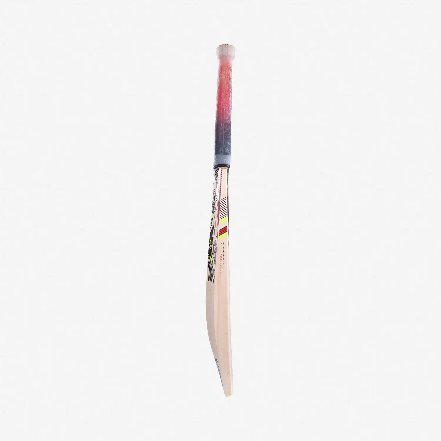 Kookaburra BEAST 6.2 Cricket Bat English Willow - Short Handle (Standard Adult Size Bat) - BATS - MENS ENGLISH WILLOW