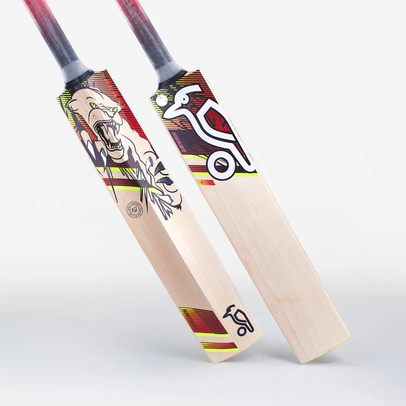Kookaburra BEAST 6.2 Cricket Bat English Willow - Short Handle (Standard Adult Size Bat) - BATS - MENS ENGLISH WILLOW