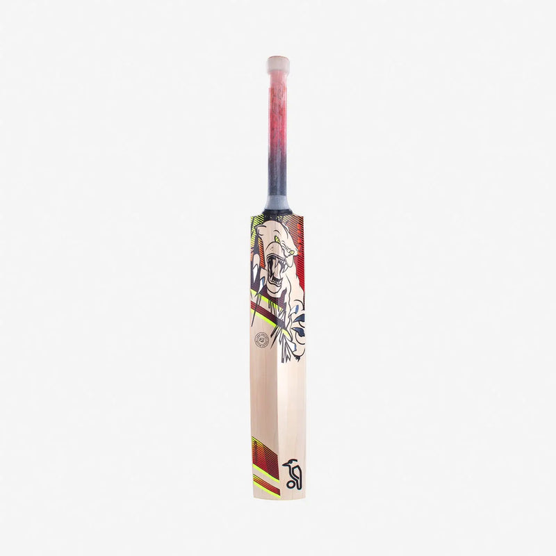 Kookaburra BEAST 6.2 Cricket Bat English Willow - Short Handle (Standard Adult Size Bat) - BATS - MENS ENGLISH WILLOW