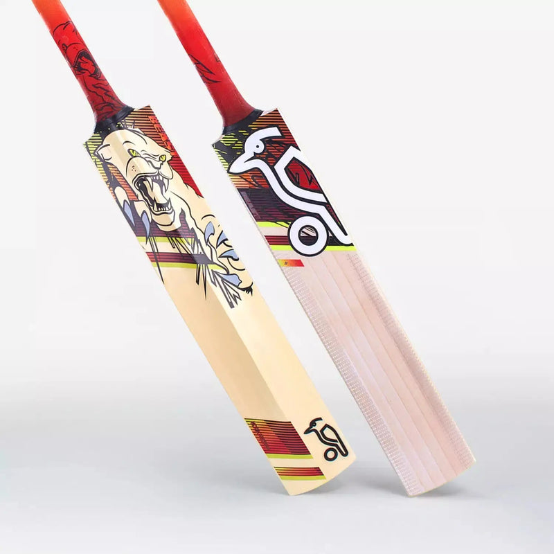 Kookaburra Beast 9.1 Cricket Bat- English Willow - Size 6 (11-13 Years Old) - BATS - MENS ENGLISH WILLOW