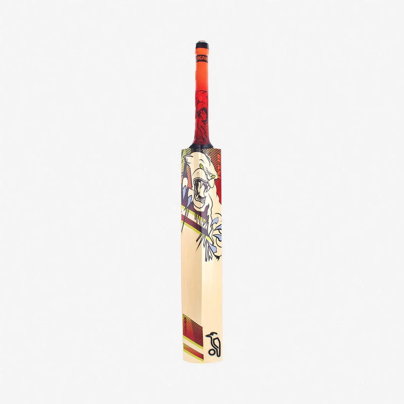 Kookaburra Beast 9.1 Cricket Bat- English Willow - Size 6 (11-13 Years Old) - BATS - MENS ENGLISH WILLOW