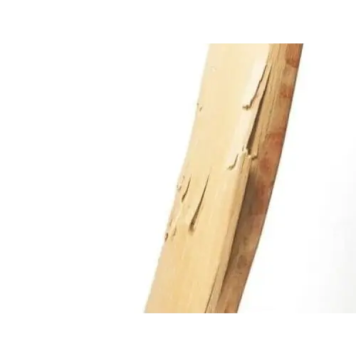 Repair Replace Broken Cricket Bat - Repair Broken Bat Edge