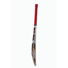 SS Master 50 Cricket Bat English Willow