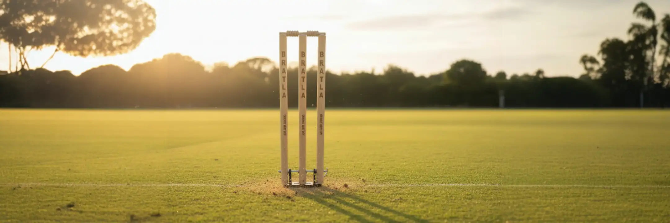 White cricket stumps standing on a green field at sunset.