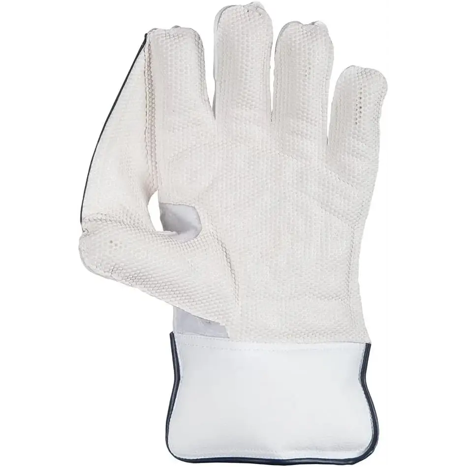 SG RSD Xtreme Cricket Wicket Keeper Gloves Cricket Best Buy